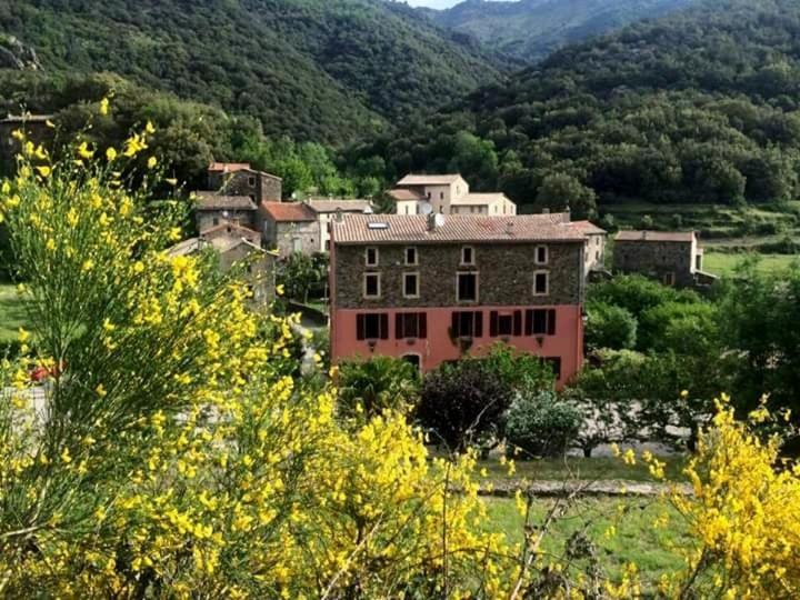 Auberge Cevenole 발레로그 외부 사진